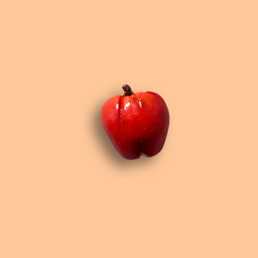 Apple Magnet